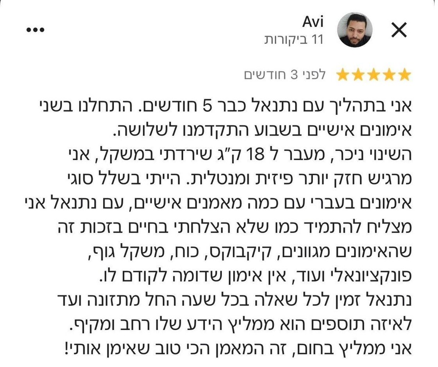 ביקורת אבי